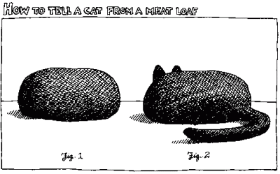 Cat vs Meatloaf