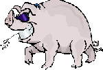 Pig