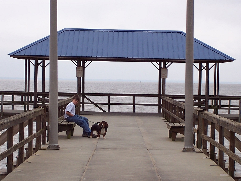 Logan & Bosley