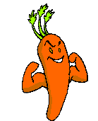 Carrot Soup