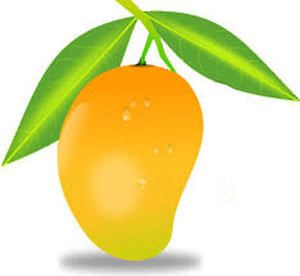 Mango Sorbet