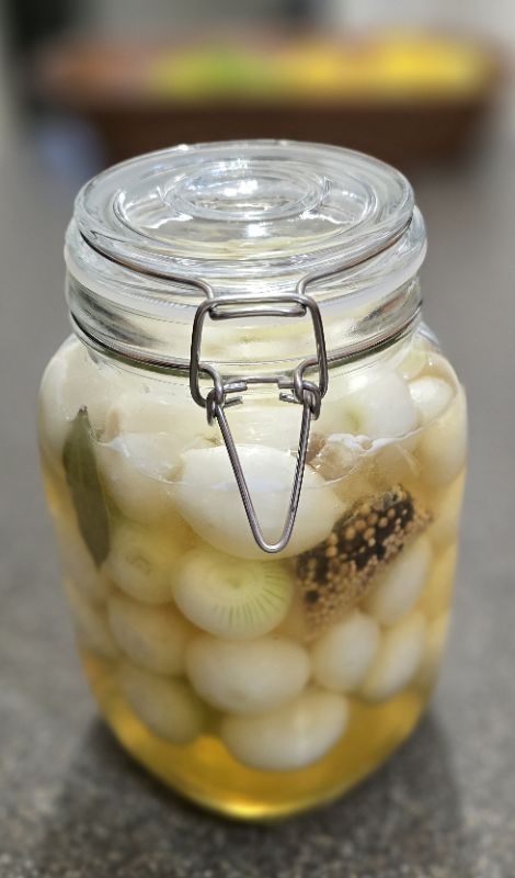 Pickled Onions