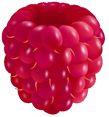Raspberry Sorbet
